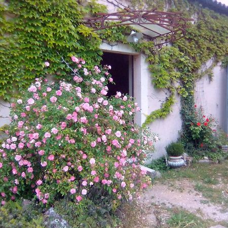 LʼIsle-sur-la-Sorgue Le Domaine De Belle B&B 외부 사진