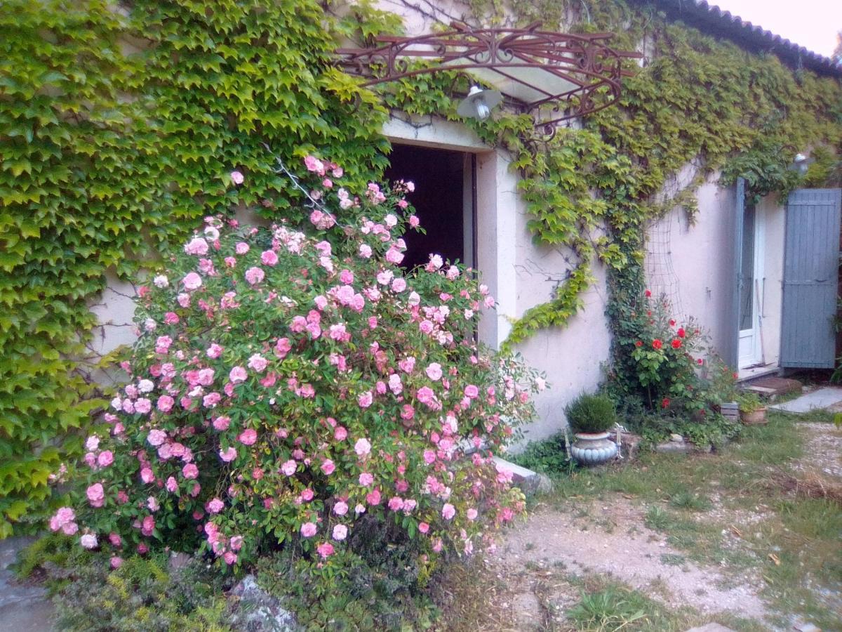 LʼIsle-sur-la-Sorgue Le Domaine De Belle B&B 외부 사진